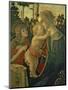 Madonna and Child with St. John the Baptist-Sandro Botticelli-Mounted Giclee Print