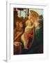 Madonna and Child with St. John-Sandro Botticelli-Framed Collectable Print