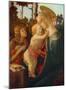 Madonna and Child with St. John-Sandro Botticelli-Mounted Collectable Print