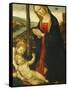 Madonna and Child with St. John-null-Framed Stretched Canvas