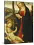 Madonna and Child with St. John-null-Stretched Canvas