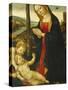 Madonna and Child with St. John-null-Stretched Canvas