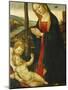 Madonna and Child with St. John-null-Mounted Giclee Print