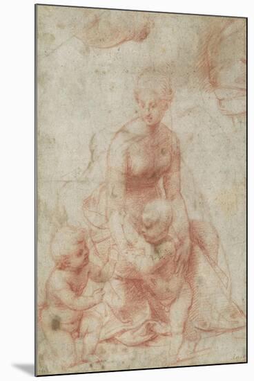 Madonna and Child with the Infant Saint John the Baptist, C.1506-7-Raphael-Mounted Premium Giclee Print