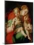 Madonna and Child with the Infant St. John the Baptist-Jacopo da Carucci Pontormo-Mounted Giclee Print