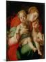 Madonna and Child with the Infant St. John the Baptist-Jacopo da Carucci Pontormo-Mounted Giclee Print