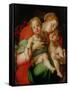 Madonna and Child with the Infant St. John the Baptist-Jacopo da Carucci Pontormo-Framed Stretched Canvas