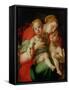 Madonna and Child with the Infant St. John the Baptist-Jacopo da Carucci Pontormo-Framed Stretched Canvas