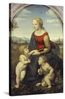Madonna and Child with the Infant St. John (The Beautiful Gardener), 1507-Raffael-Stretched Canvas