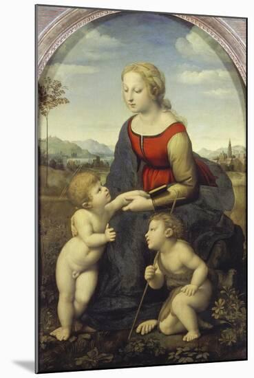 Madonna and Child with the Infant St. John (The Beautiful Gardener), 1507-Raffael-Mounted Giclee Print