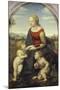 Madonna and Child with the Infant St. John (The Beautiful Gardener), 1507-Raffael-Mounted Giclee Print