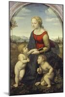 Madonna and Child with the Infant St. John (The Beautiful Gardener), 1507-Raffael-Mounted Giclee Print