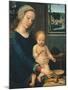 Madonna and Child with the Milk Soup, 1510-1515-Gerard David-Mounted Giclee Print