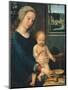 Madonna and Child with the Milk Soup, 1510-1515-Gerard David-Mounted Giclee Print