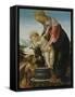 Madonna and Child with the Young John the Baptist-Sandro Botticelli-Framed Stretched Canvas