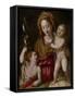 Madonna and Child with the Young St. John the Baptist, C.1575 (Oil on Panel)-Jacopo Chimenti Empoli-Framed Stretched Canvas