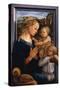 Madonna and Child with Two Angels, 1460S-Fra Filippo Lippi-Stretched Canvas