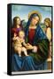 Madonna and Child with Two Angels, c.1495-1500-Il Francia-Framed Stretched Canvas