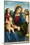 Madonna and Child with Two Angels, c.1495-1500-Il Francia-Mounted Giclee Print