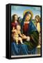 Madonna and Child with Two Angels, c.1495-1500-Il Francia-Framed Stretched Canvas