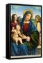 Madonna and Child with Two Angels, c.1495-1500-Il Francia-Framed Stretched Canvas