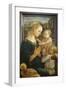 Madonna and Child with Two Angels-Fra Filippo Lippi-Framed Giclee Print