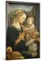 Madonna and Child with Two Angels-Fra Filippo Lippi-Mounted Giclee Print