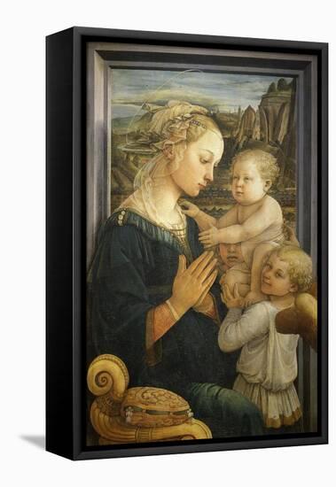 Madonna and Child with Two Angels-Fra Filippo Lippi-Framed Stretched Canvas