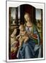 Madonna and Child-Lorenzo di Credi-Mounted Art Print