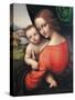 Madonna and Child-Giampietrino-Stretched Canvas