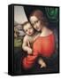 Madonna and Child-Giampietrino-Framed Stretched Canvas