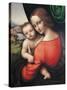 Madonna and Child-Giampietrino-Stretched Canvas