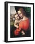 Madonna and Child-Giampietrino-Framed Giclee Print