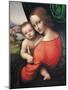 Madonna and Child-Giampietrino-Mounted Giclee Print