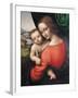 Madonna and Child-Giampietrino-Framed Giclee Print