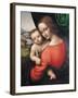 Madonna and Child-Giampietrino-Framed Giclee Print