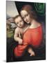 Madonna and Child-Giampietrino-Mounted Giclee Print