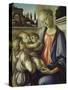 Madonna and Child-Sandro Botticelli-Stretched Canvas