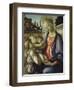 Madonna and Child-Sandro Botticelli-Framed Giclee Print