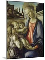 Madonna and Child-Sandro Botticelli-Mounted Giclee Print