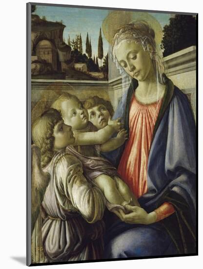 Madonna and Child-Sandro Botticelli-Mounted Giclee Print