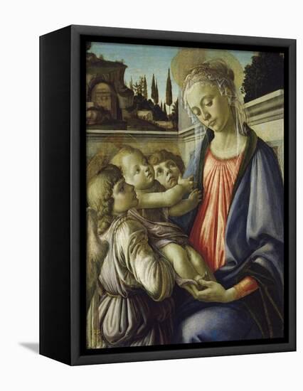 Madonna and Child-Sandro Botticelli-Framed Stretched Canvas