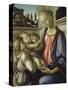 Madonna and Child-Sandro Botticelli-Stretched Canvas