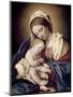 Madonna and Child-Giovanni Battista Salvi da Sassoferrato-Mounted Giclee Print