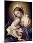 Madonna and Child-Giovanni Battista Salvi da Sassoferrato-Mounted Giclee Print