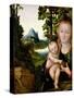 Madonna and Child-Lucas Cranach the Elder-Stretched Canvas