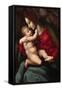 Madonna and Child-Francesco Ubertini Bacchiacca-Framed Stretched Canvas