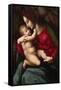 Madonna and Child-Francesco Ubertini Bacchiacca-Framed Stretched Canvas