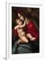 Madonna and Child-Francesco Ubertini Bacchiacca-Framed Art Print