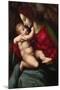 Madonna and Child-Francesco Ubertini Bacchiacca-Mounted Art Print